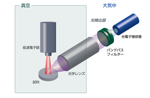 LEIPS の模式図