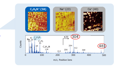 MS1 Spectrum and Images of the MS/MS Option