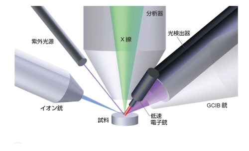 試料周りの模式図