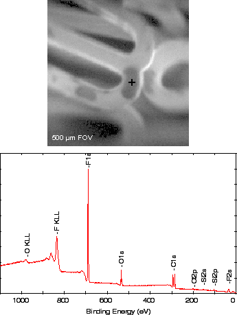 Biomedical Surface Analysis