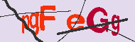 Captcha認証コード