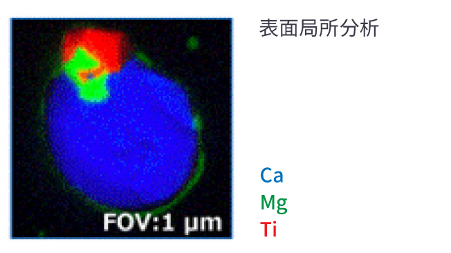 表面局所分析のカラーマッピング像（Ca・Mg・Ti、FOV:1µm）