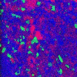 Elemental AES Surface Analysis（オージェ分析による元素マップ像）
