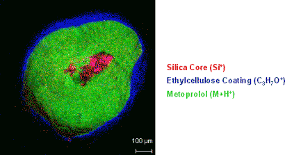 Pharmaceutical Surface Analysis（徐放性薬剤カプセル断面のTOF-SIMS像）