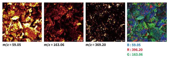Chemical Imaging Measurement Example by m/z