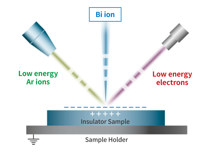Schematic Diagram of Turnkey Charge Neutralization