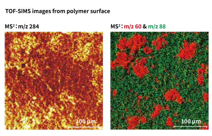 TOF-SIMS Images from polymer surface