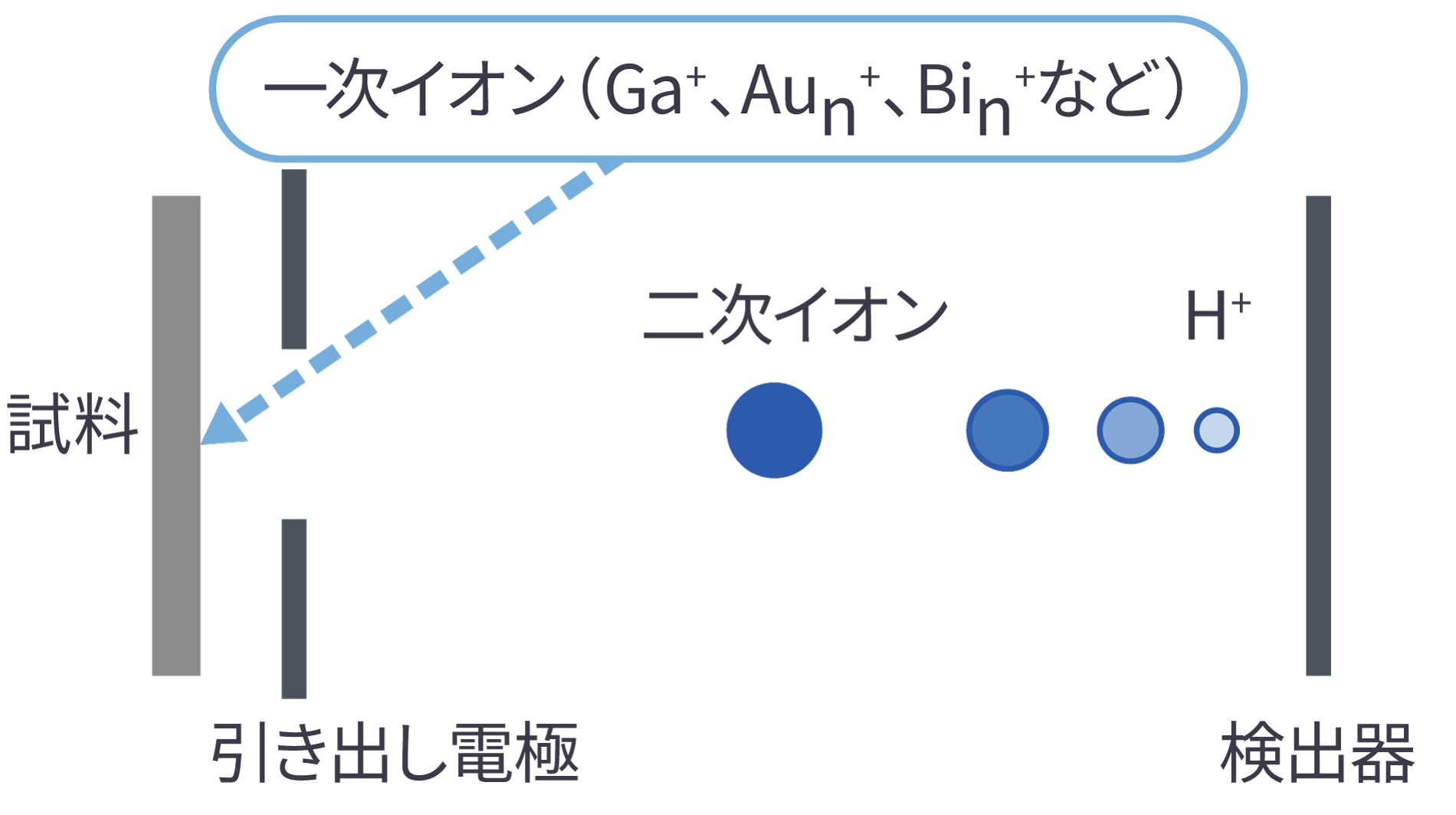 TOF-SIMSの原理図（一次イオン Ga⁺・Auₙ⁺・Biₙ⁺ 等を試料に照射し、放出される二次イオン・H⁺を引き出し電極から検出器へ導く）