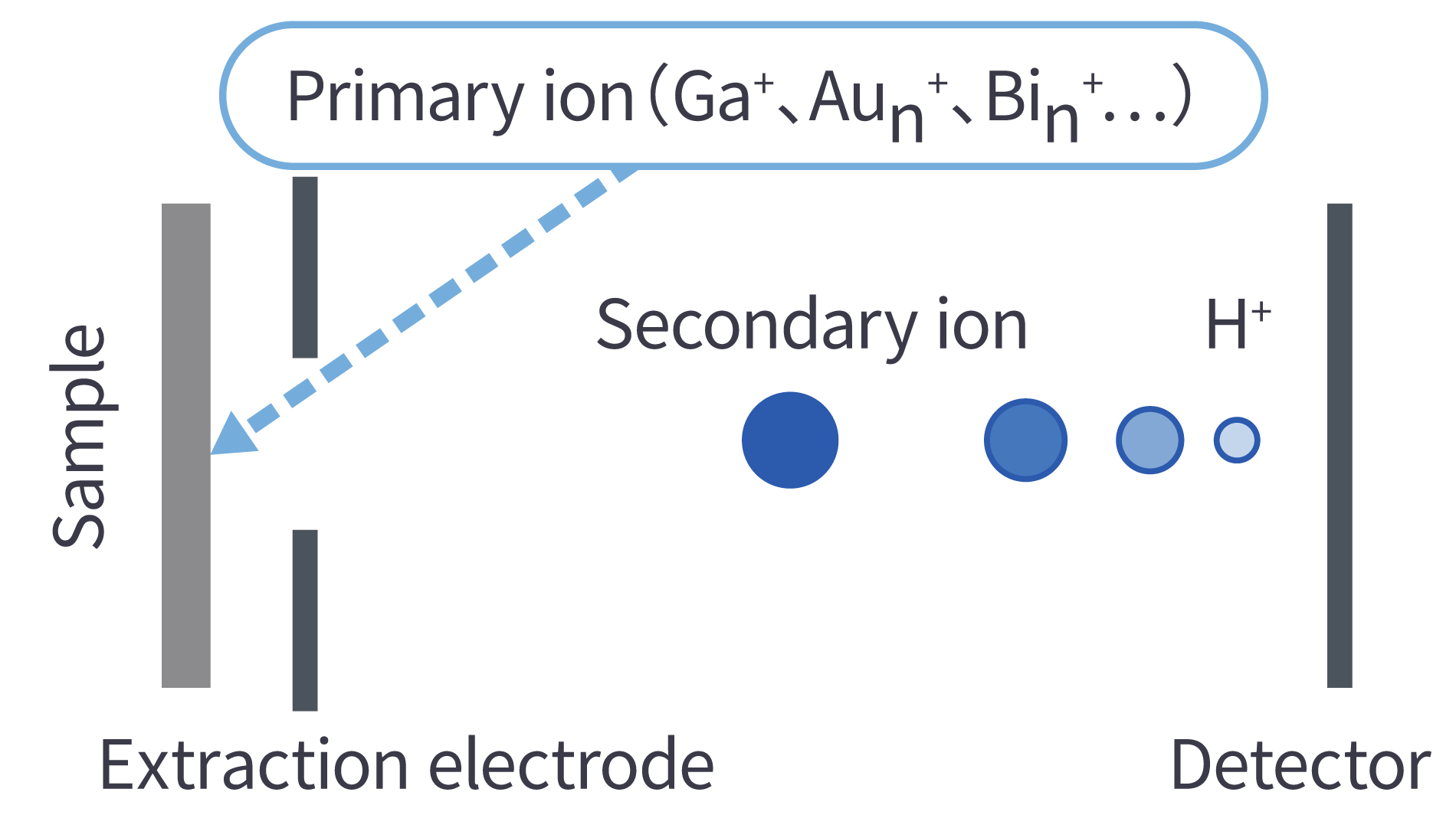 Schematic diagram of TOF-SIMS principles (primary ions such as Ga⁺, Auₙ⁺, and Biₙ⁺ are irradiated onto the sample, and the emitted secondary ions and H⁺ are guided from the extraction electrode to the detector)